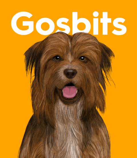 Landing Snacks Gosbi Pet Food