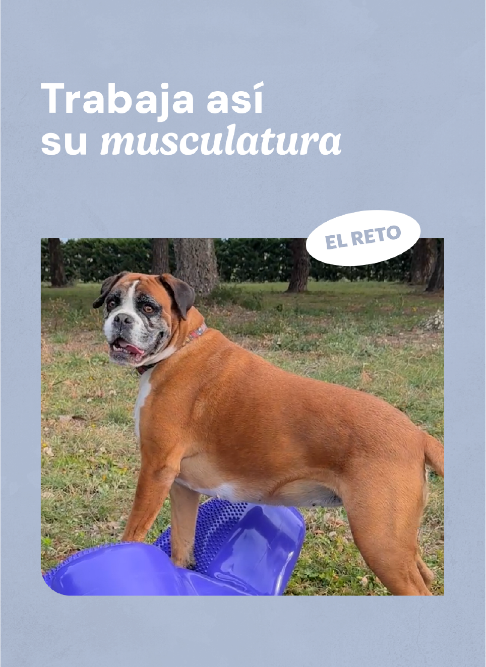 Recurso 1foto