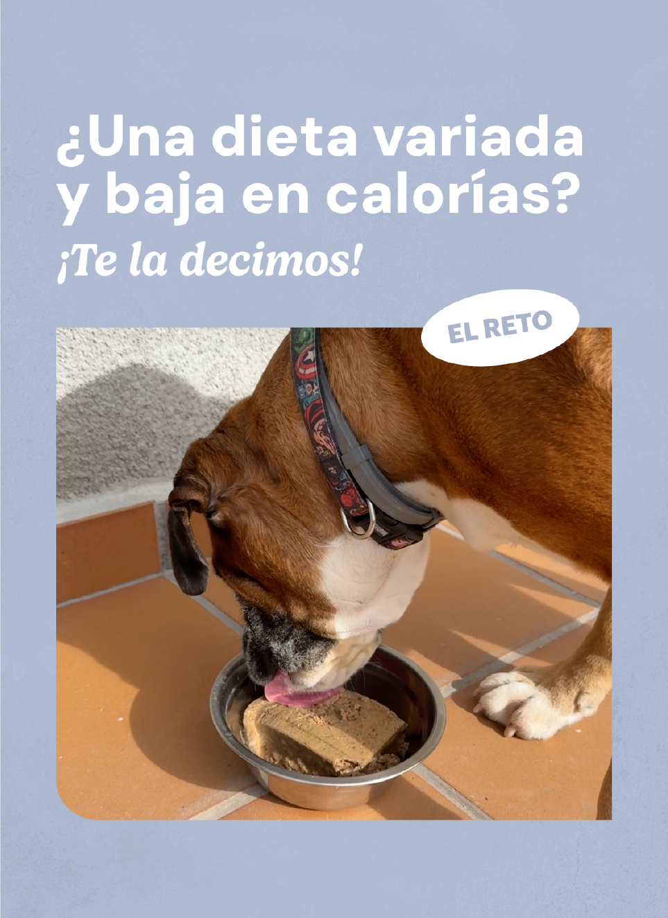Recurso 3foto