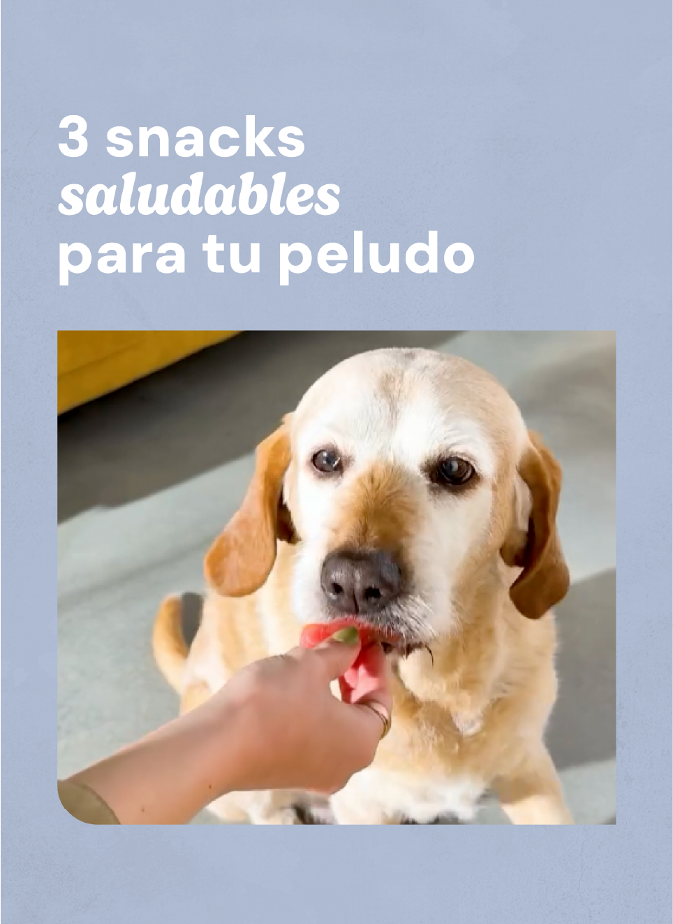 Recurso 4foto