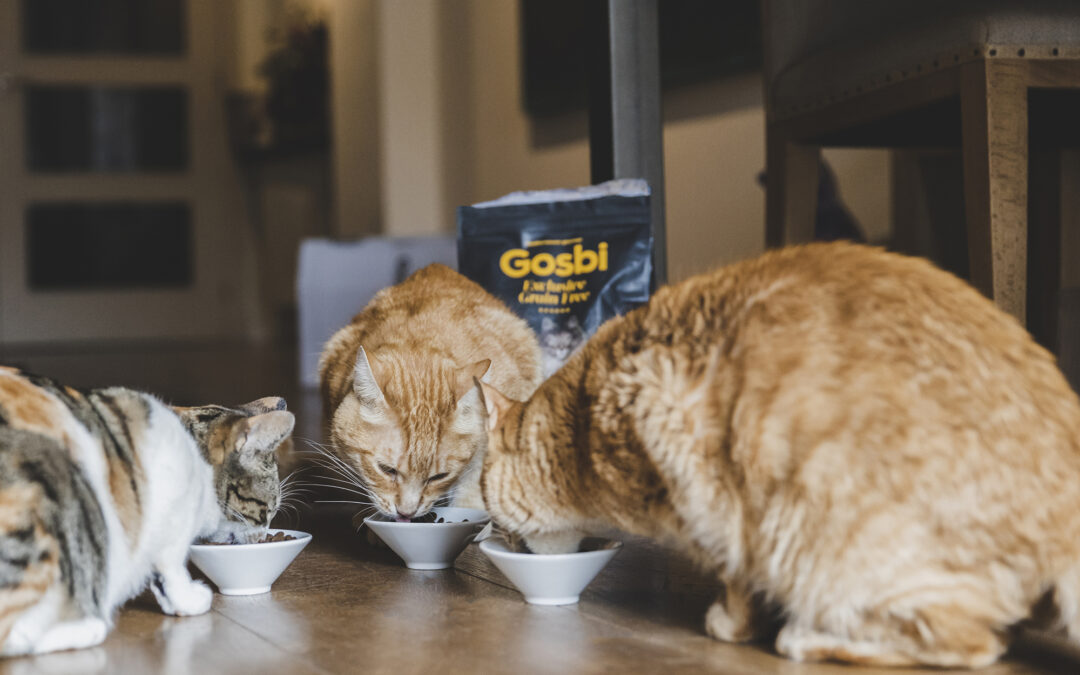 Formula procatvital