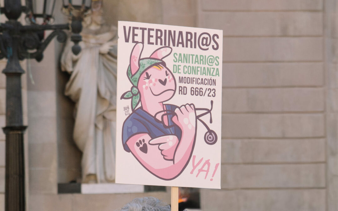 veterinarios